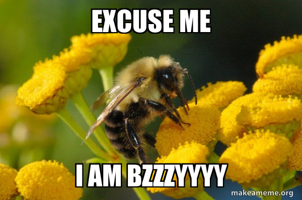 Good Guy Bee meme