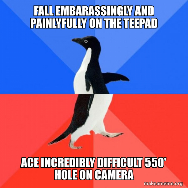 Socially Awkward Awesome Penguin meme