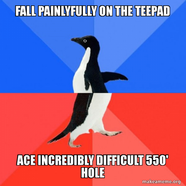 Socially Awkward Awesome Penguin meme