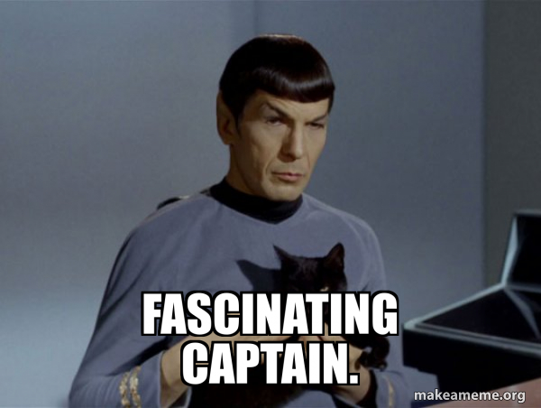 Spock and Cat Meme meme