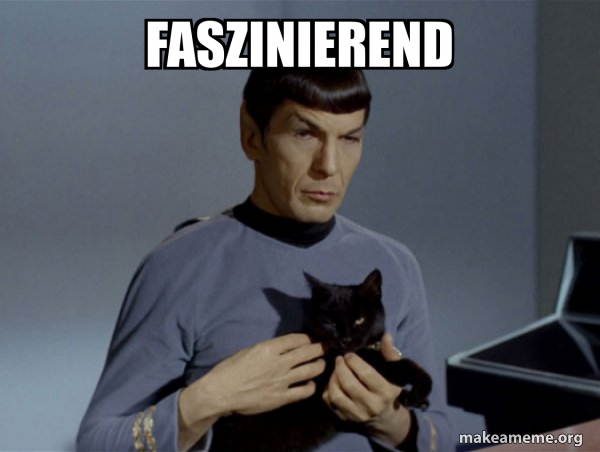 Spock and Cat Meme meme