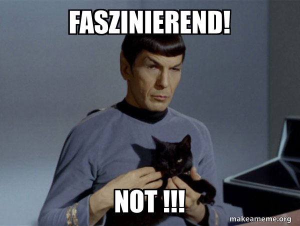 Spock and Cat Meme meme