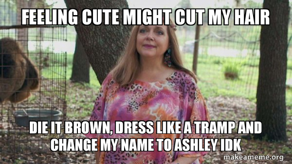 dress cut meme Feeling cute might cut my hair Die it brown, dress like a tramp And change  my name to Ashley Idk