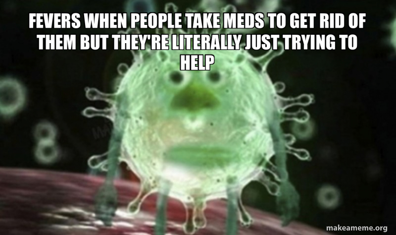Get Rid Meme fevers when people take meds to get rid of them but they're literally ...