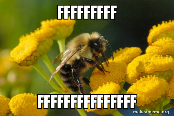 Fffffff Bug fffffffff fffffffffffffff - Good Guy Bee Meme Generator