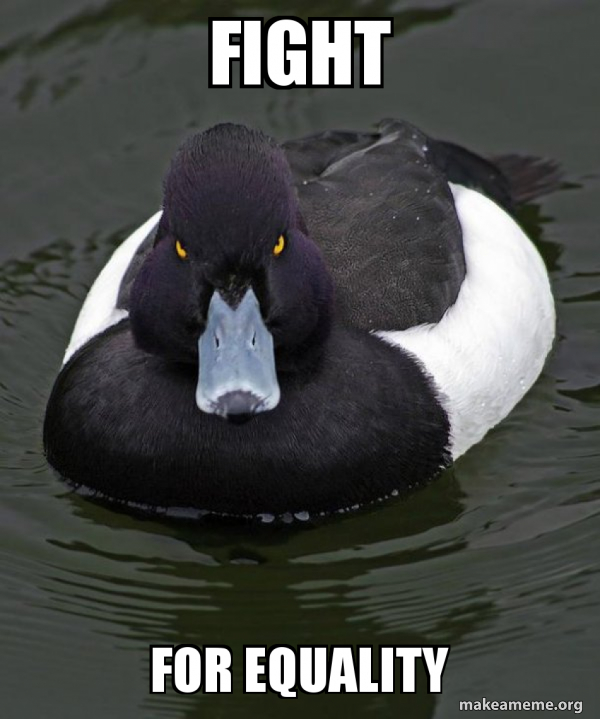 Revenge Duck ( Angry Advice Duck ) meme