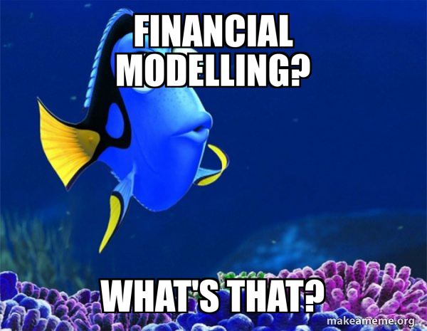 FINANCIAL MODELLING? WHAT'S THAT? - Dory from Nemo (5 second memory ...