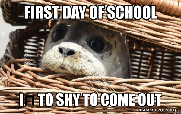 first day of school iá¸¿ to shy to come out - Impending Doom Seal Meme