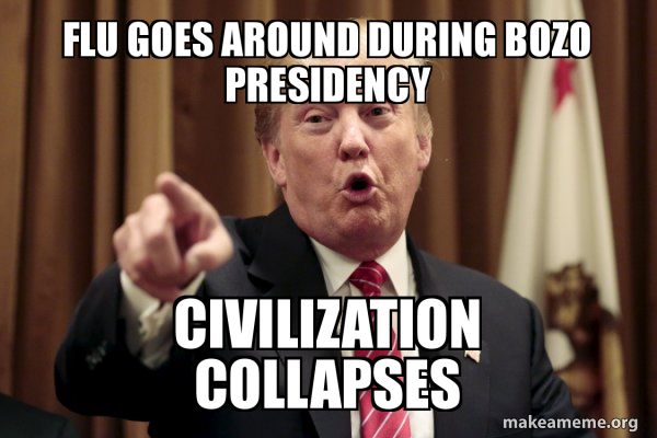 Flu Goes Around During Bozo Presidency Civilization Collapses Donald 