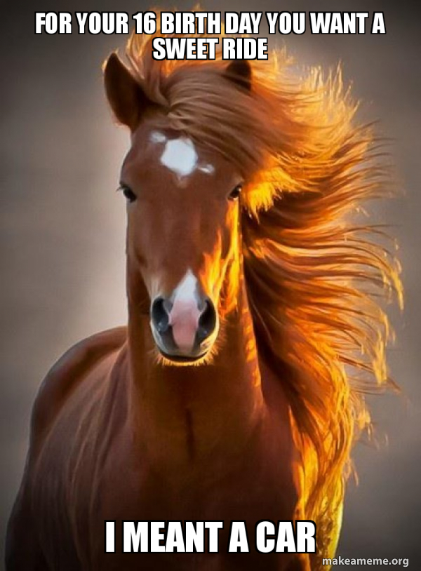 Ridiculously photogenic horse meme