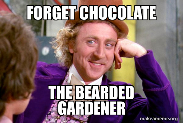 Condescending Wonka meme