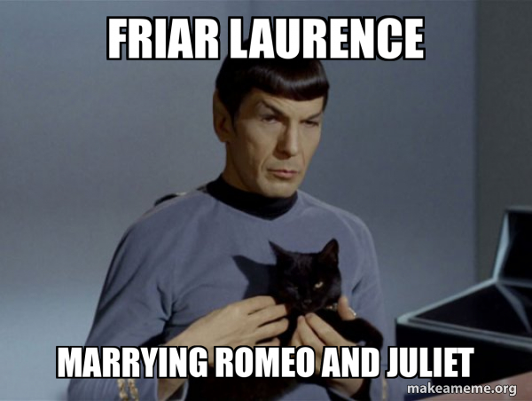 Spock and Cat Meme meme