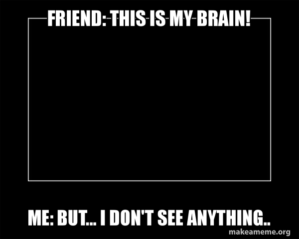 Friend: This is my brain! Me: But... I don't see anything ...