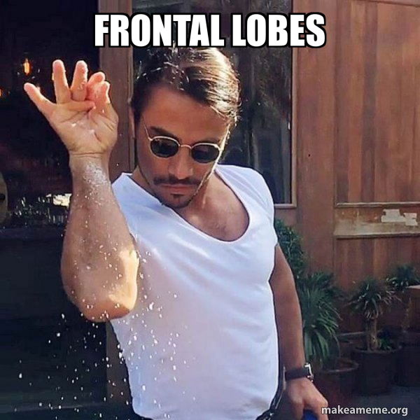 Frontal lobes - SaltBae or Salt Bae Meme Generator
