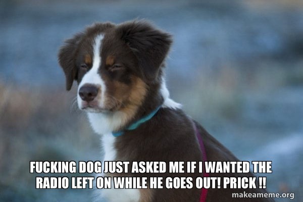 Unsure Dog meme