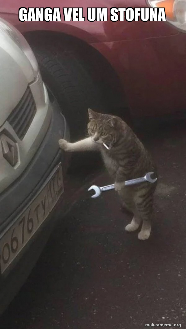 ganga vel um stofuna - Mechanic Cat Meme Generator