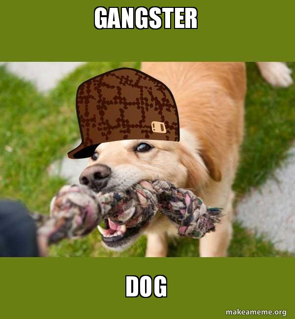 Gangster Dog Scumbag dog Make a Meme