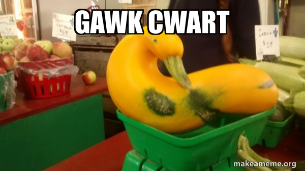 Gourd Advice Mallard meme