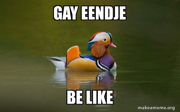 Fashionable Advice Mallard meme