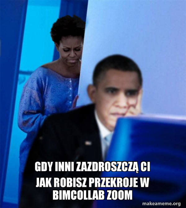 Redditor Obama's Wife meme