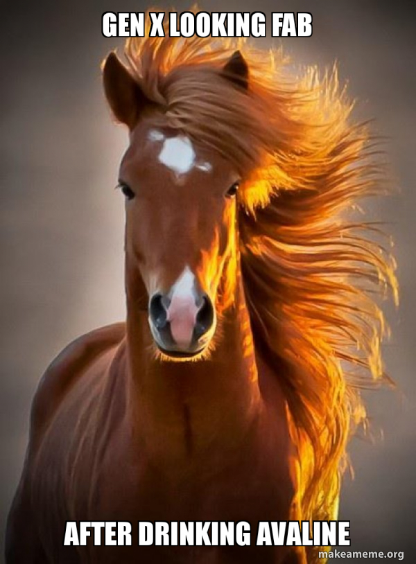 Ridiculously photogenic horse meme