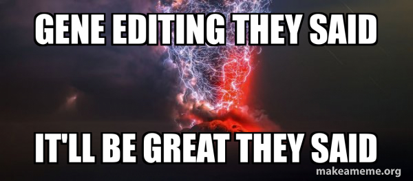 The Gods are Angry meme