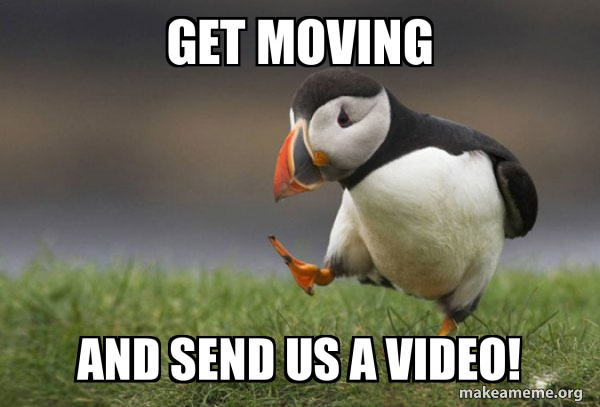 Unpopular Opinion Puffin meme