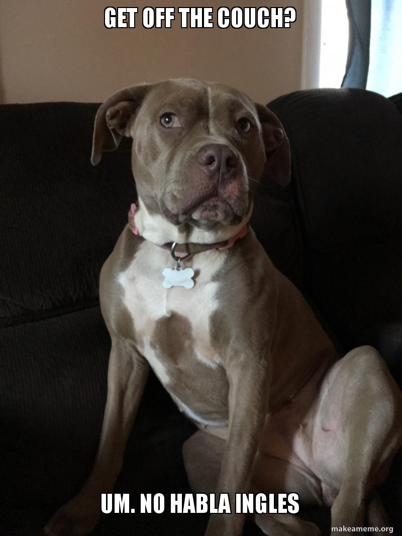 Get Off The Couch Um No Habla Ingles Ingles Make A Meme