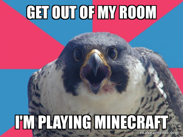 Millennial Falcon meme