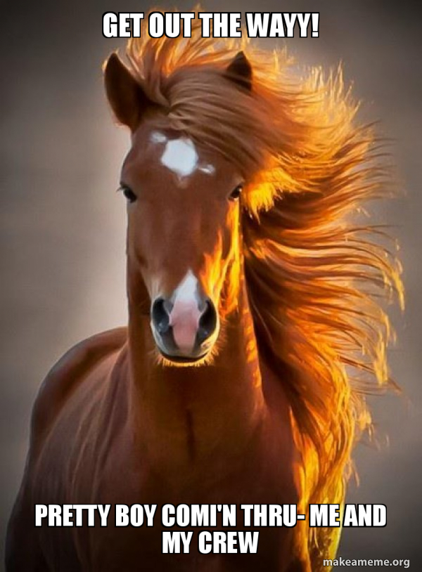 Ridiculously photogenic horse meme