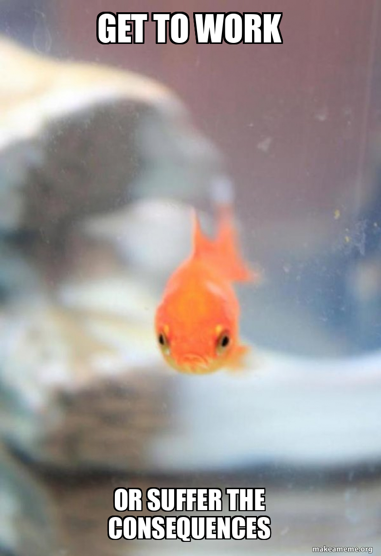 Grumpy Fish meme