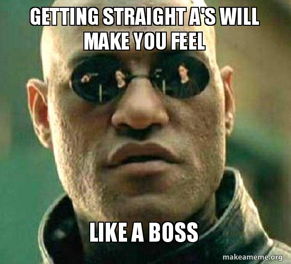 Getting Straight A S Will Make You Feel Like A Boss Matrix