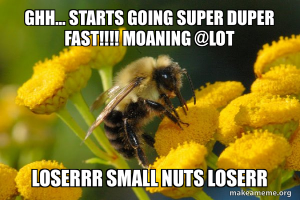 Good Guy Bee meme