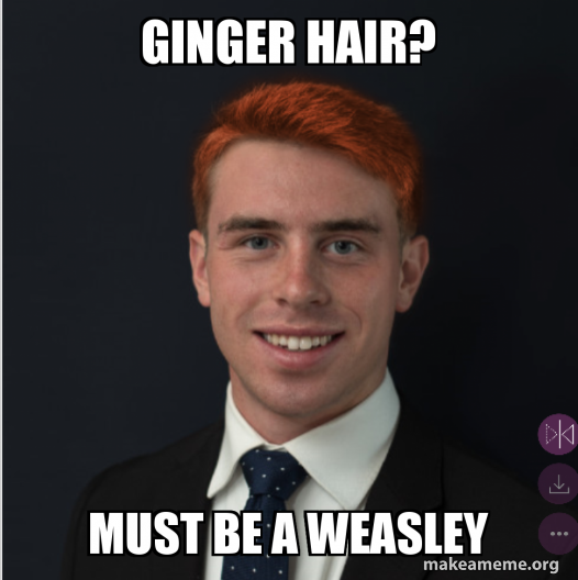Ginger Hair Must Be A Weasley Make A Meme