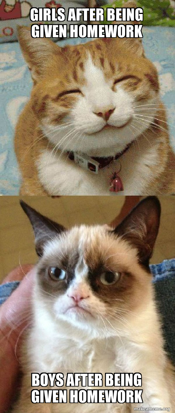 Grumpy Cat vs Happy Cat meme