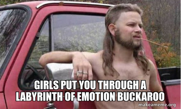 Almost Politically Correct Redneck meme