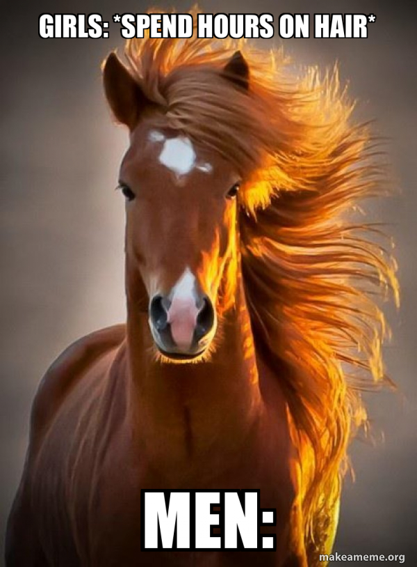 Ridiculously photogenic horse meme
