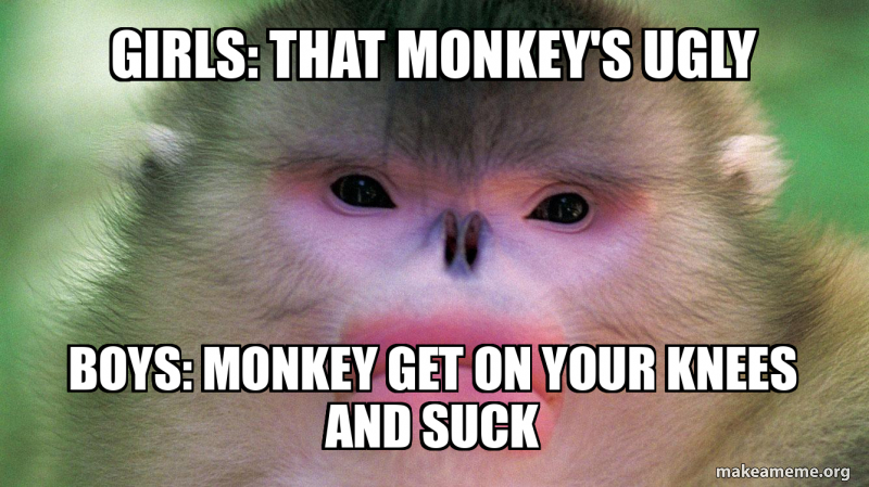 girls: that monkey's ugly boys: monkey get on your knees and suck Meme ...