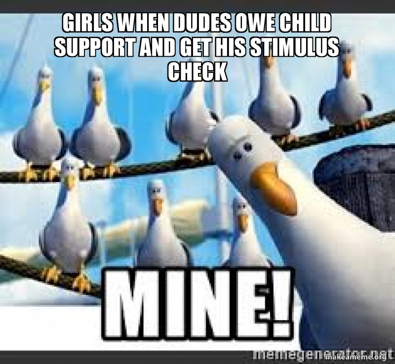 Girls When Dudes Owe Child Support And Get His Stimulus Check