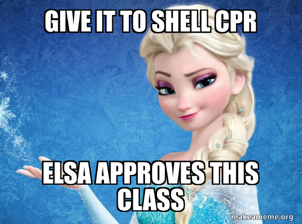 Elsa from Frozen meme