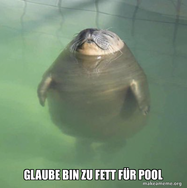 glaube bin zu fett für pool Meme Generator