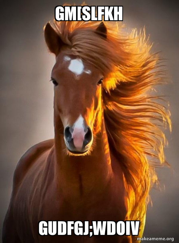 Ridiculously photogenic horse meme