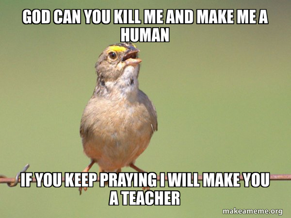 Common Opinion Sparrow meme