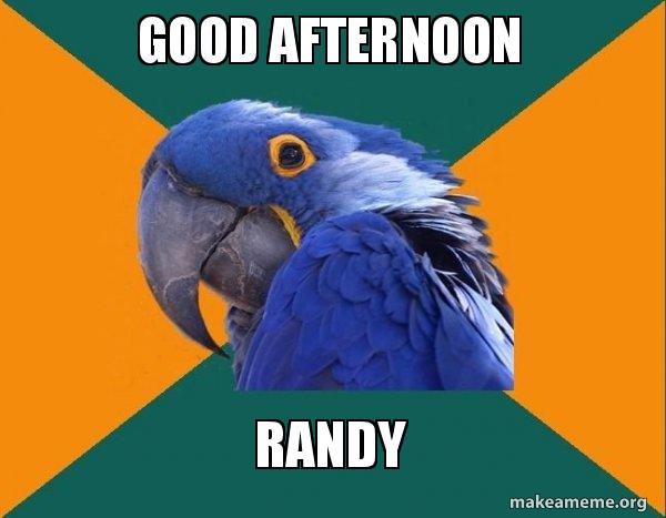 Good Afternoon Randy Paranoid Parrot Make A Meme