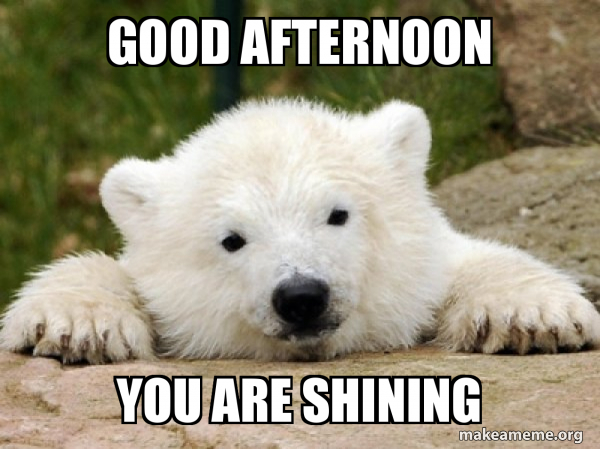 Good Afternoon You Are Shining Popular Opinion Bear Make A Meme