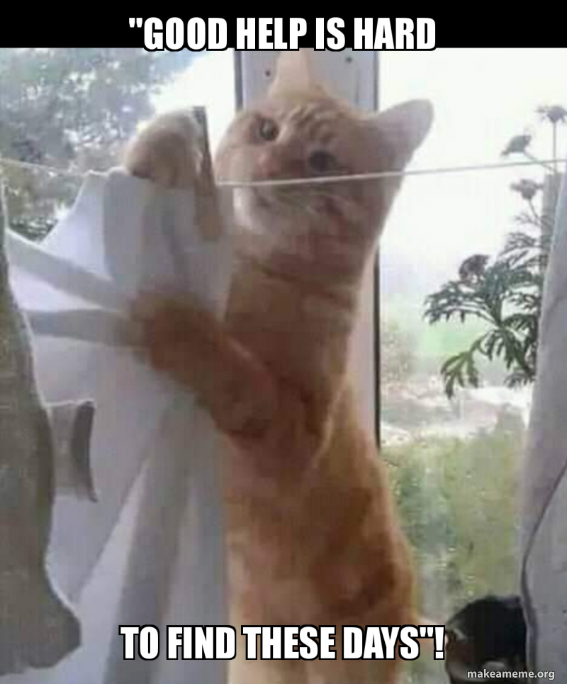 Help Help Meme