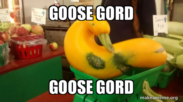 Gourd Advice Mallard meme