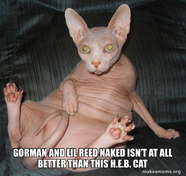 Hairless Cat meme