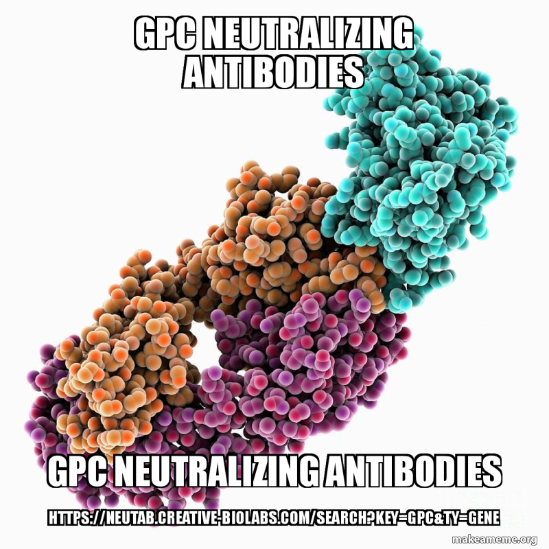 GPC neutralizing antibodies GPC neutralizing antibodies https//neutab