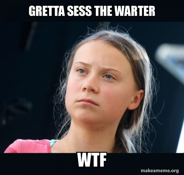 Greta Thunberg meme